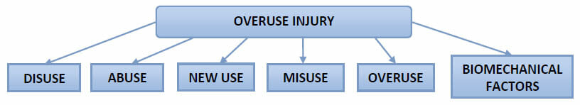 Overuse Injury Process
