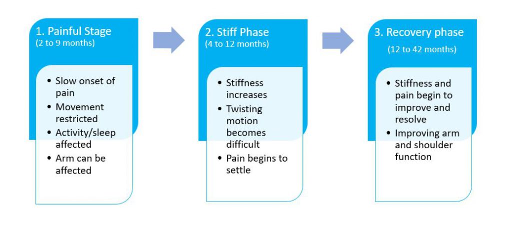 Frozen shoulder phases